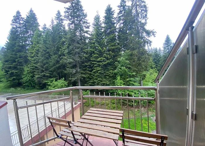 아파트 Deluxe 217 보로베츠